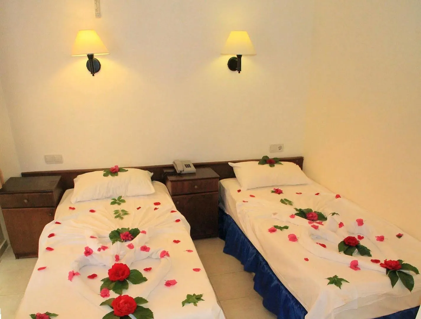 Seray Class Hotel & Apartments Gümbet 3*,